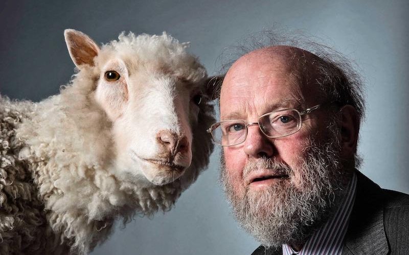 Klonlanmış koyun Dolly’i yaratan Ian Wilmut hayatını kaybetti
