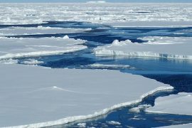 Bering denizinde rekor erime