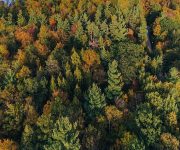 Bitkilerden elde edilen ipuçlarıyla saklı mezarlara ulaşılabilir