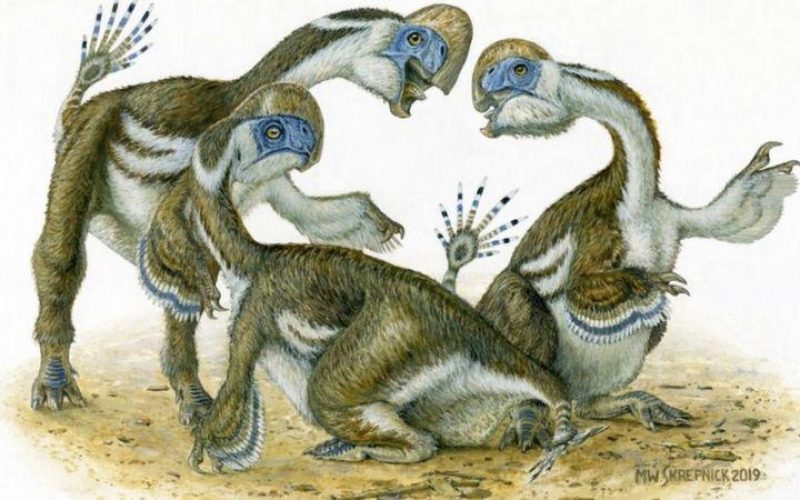 Yeni bir dinozor türü keşfedildi