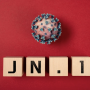 JN.1 virüsü: Omicron’un çok bulaşıcı olan en son varyantı