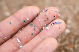 Mikroplastikler ciddi sağlık riskleriyle bağlantılı
