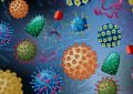 Virüsler nedir? Canlı mı cansız mı, yoksa yaşamın sırrı onlarda mı?
