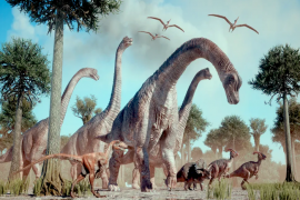 Dinozorlar nasıl gezegenin hakimi oldu?