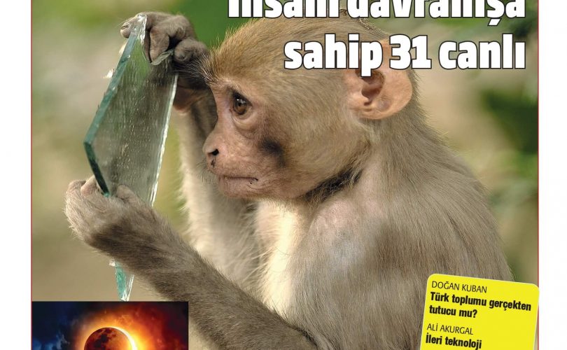 HBT Dergi 424. sayı – 30 Mayıs 2024