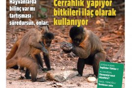 HBT Dergi 432. sayı – 1 Ağustos 2024