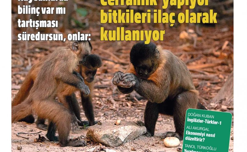 HBT Dergi 432. sayı – 1 Ağustos 2024