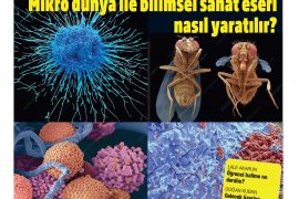 Mikroskop arkasında mikro dünya ile bilimsel sanat eseri nasıl yaratılır?