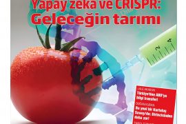 Yapay zekâ ve CRISPR: Geleceğin tarımı, bilim 8 milyar insanın beslenmesi için çözüm üretiyor…