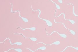 Daha fazla sayıda kaliteli sperm üreten erkekler daha uzun yaşıyor