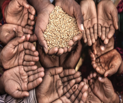 Nobel ödüllü 150 bilim insanından küresel açlığa acil çözüm çağrısı