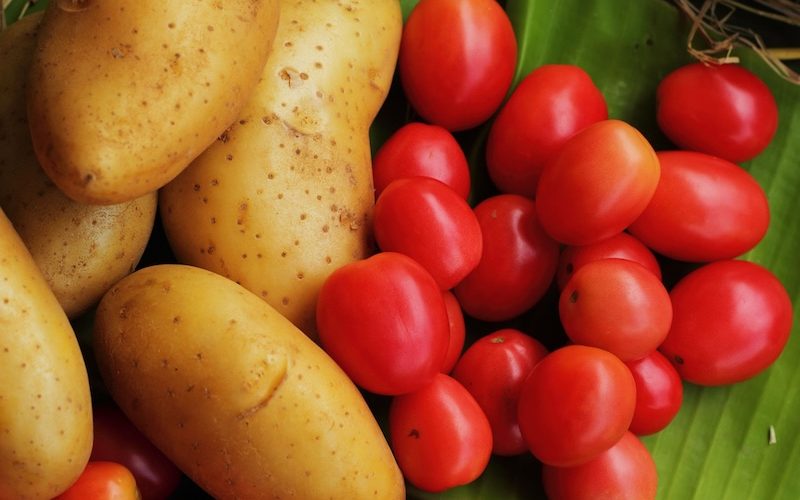 Patatesin şaşırtıcı kökeni: Atası antik bir domates mi?
