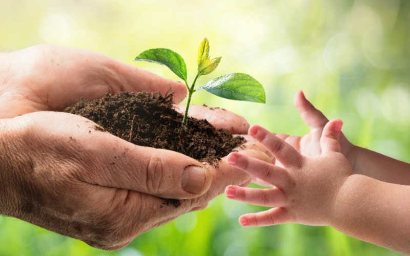 Ekolojik iyileşme ve insan refahı