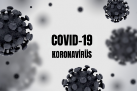 COVID-19 vakaları son dönemde neden artıyor? Ne yapmalıyız?