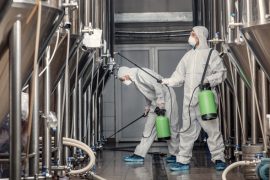 Böcek ailesi sorumsuzluğun kurbanı oldu