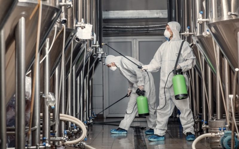 Böcek ailesi sorumsuzluğun kurbanı oldu