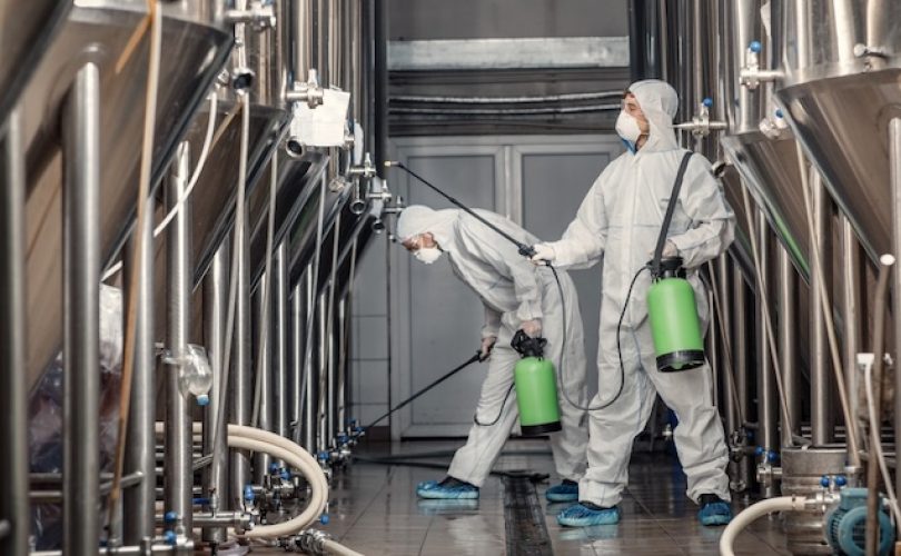 Böcek ailesi sorumsuzluğun kurbanı oldu