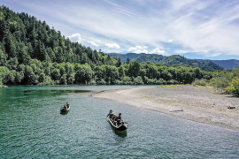 2025’te iklim ve doğa için 7 kritik kazanım