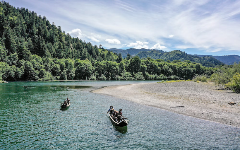 2025’te iklim ve doğa için 7 kritik kazanım
