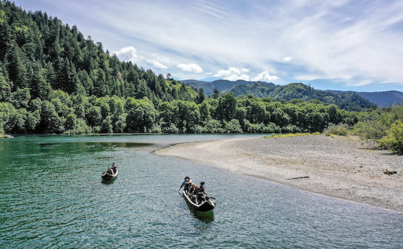 2025’te iklim ve doğa için 7 kritik kazanım