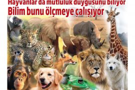 Hayvanlar da mutluluk duygusunu biliyor. Bilim bunu ölçmeye çalışıyor!