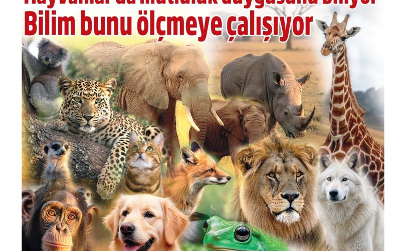 HBT Dergi 510. sayı – 20 Şubat 2025