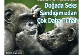 Doğanın tuhaf sırları