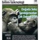 HBT Dergi 522. sayı – 22 Mayıs 2026