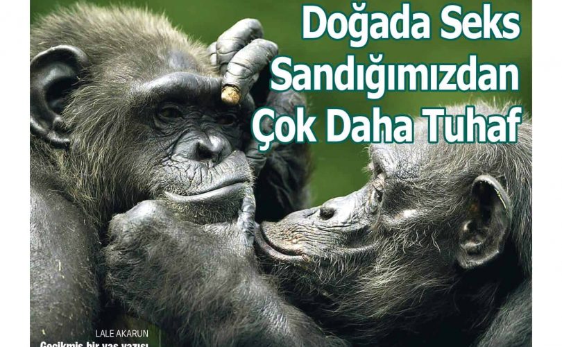 HBT Dergi 522. sayı – 22 Mayıs 2026