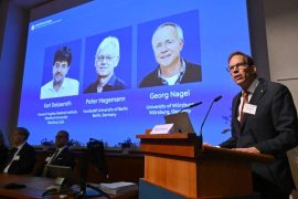 Tıp Nobeli, beyni ışıkla kontrol etmeyi sağlayan optogenetik keşiflerine verildi